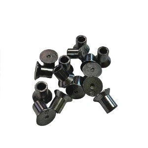 Rivet-Sharma-Technocast